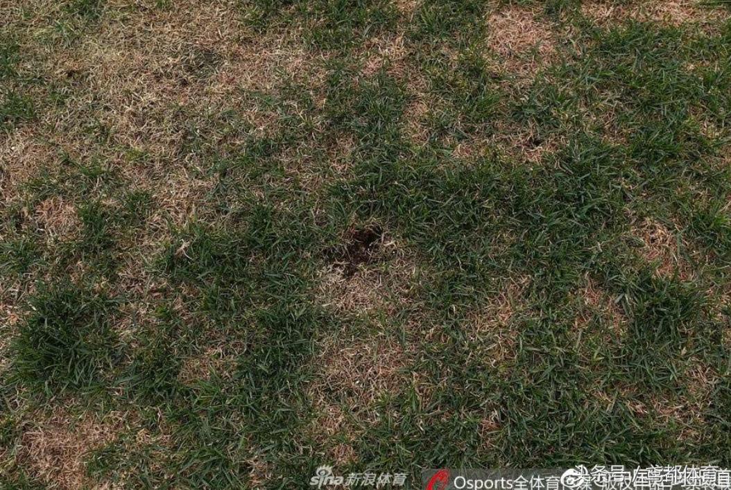 鲁能金敬道现场直播,延边北国珲春比赛直播