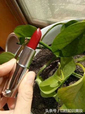 纪梵希唇膏哪个色好用,纪梵希和圣罗兰唇膏的区别