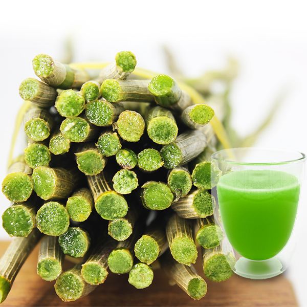 铁皮石斛泡水喝的功效作用,铁皮石斛酿酒的功效