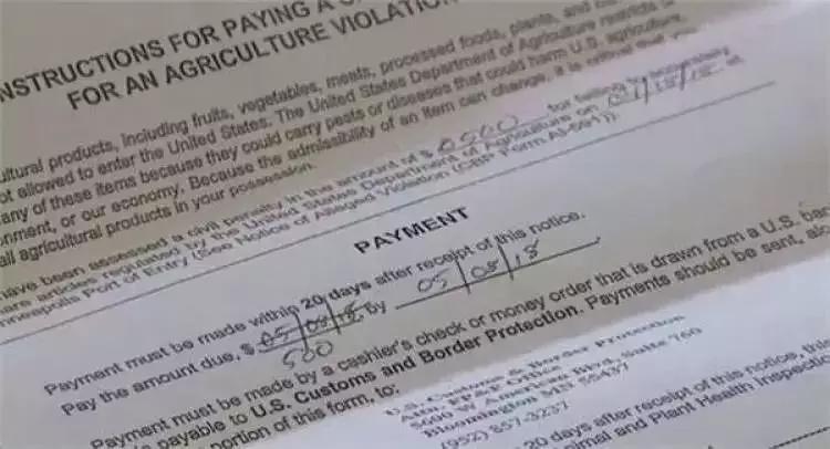 随手把苹果带下飞机，竟被罚了500美元？出国之前，违禁物品清单得多看两遍！