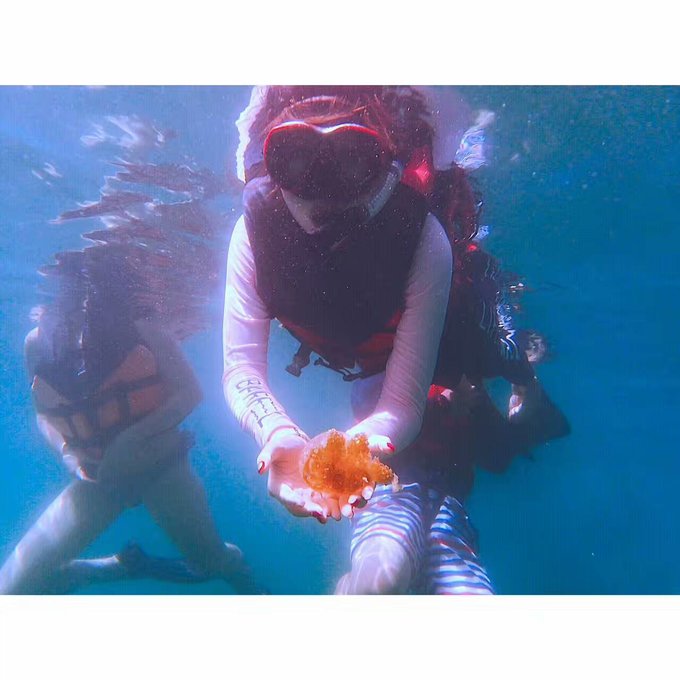 看我这发型酷不酷｜我觉得很可爱啊！帕劳潜水超级赞！