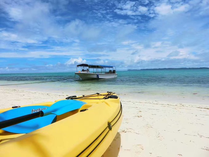 看我这发型酷不酷｜我觉得很可爱啊！帕劳潜水超级赞！