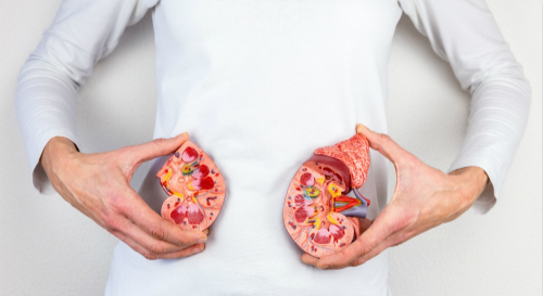 肾积水引起的腰疼症状多久能恢复,肾积水症状和危害如何治疗