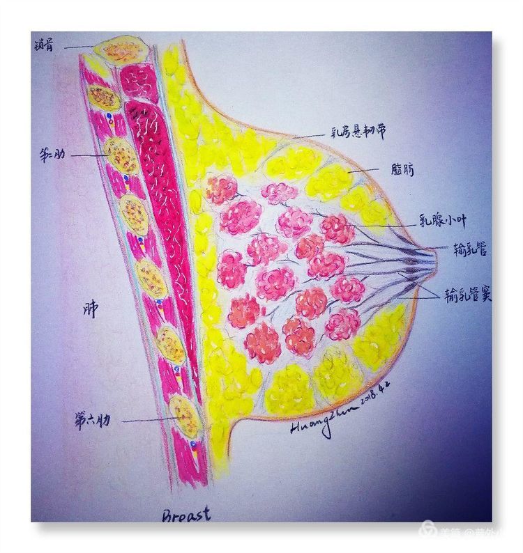 母爱无边致敬伟大的母亲,母爱无边
