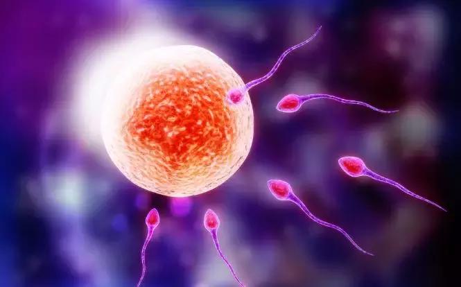 受精卵着床是什么样的感觉你知道吗？