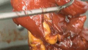 金堂美食推荐淮口,金堂县淮口镇老味道卤肉店