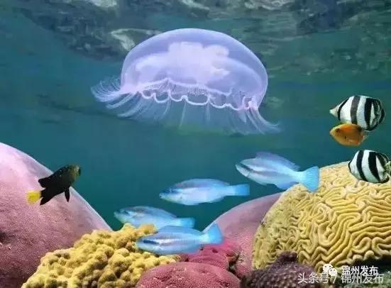 锦州市世博园开园了吗,锦州世博园五一开园