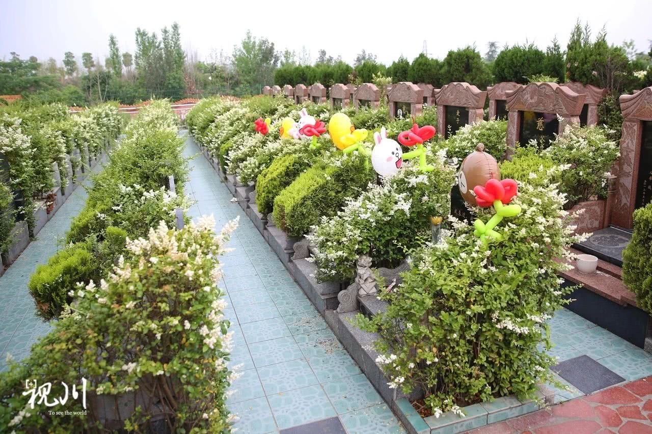 气球葬礼母亲,气球墓园