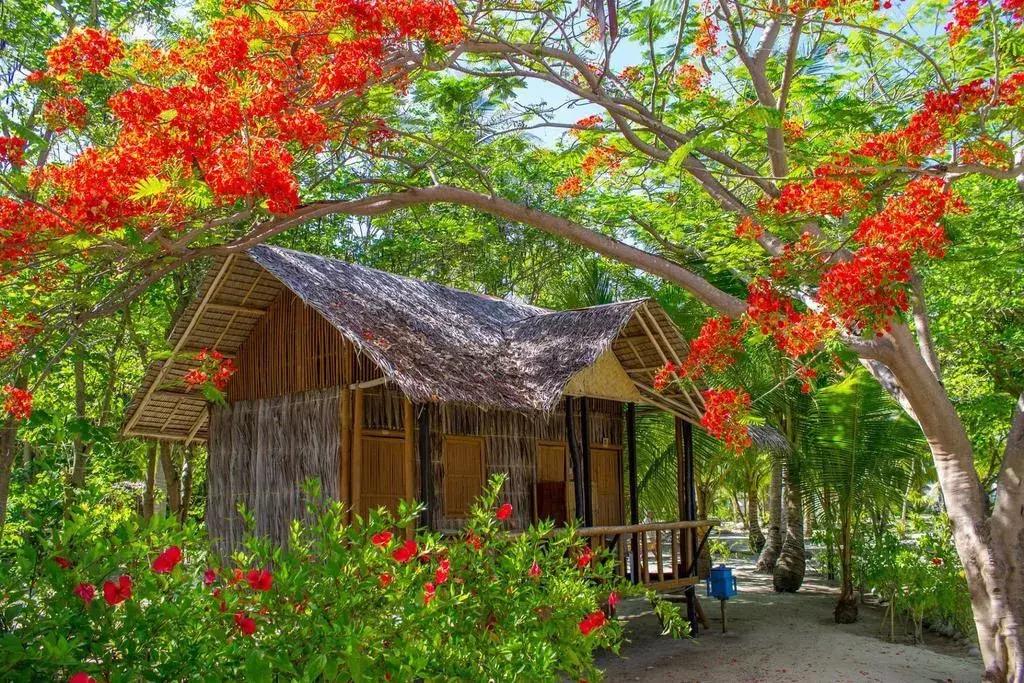 菲律宾的最后一块处女地，不输马代，不到1k就能往返！