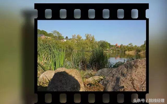 大揭秘全集免费观看,大揭秘电影