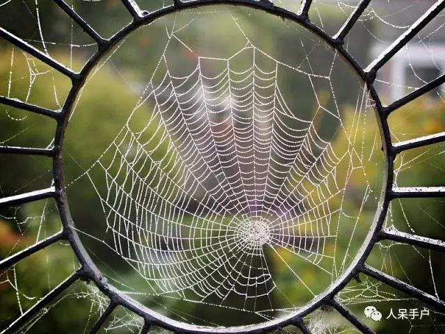你说蜘蛛侠,蜘蛛侠的蜘蛛丝里有什么