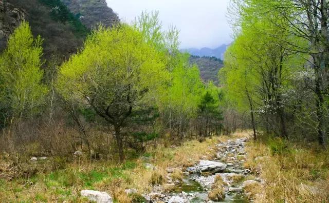 还出什么国？去了易县，等于去了全世界，不信你看！