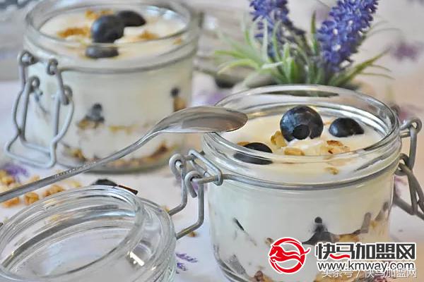 酸奶冰激凌加盟店10大品牌,酸奶品牌加盟店排行榜前十名