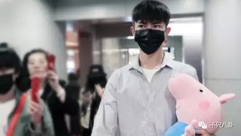 生活圈被它攻占，明星主动“蹭”它热度，现在的流量担当是这只猪