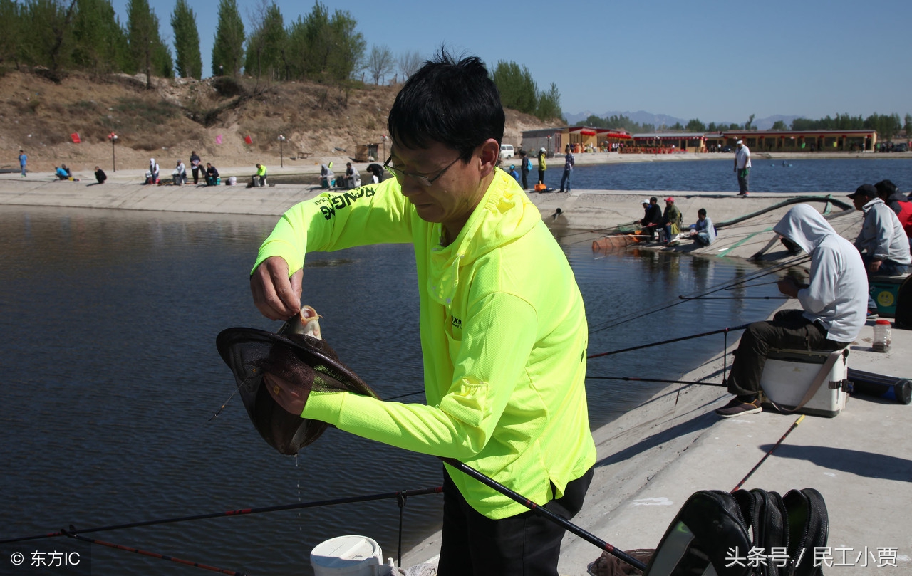 农村垂钓鱼塘前景如何,20亩鱼塘做垂钓园能挣钱吗