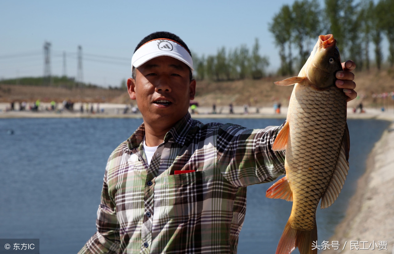 农村垂钓鱼塘前景如何,20亩鱼塘做垂钓园能挣钱吗