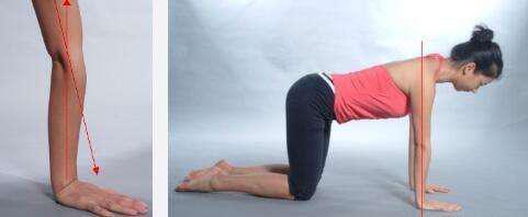 初学者不知道怎么进入下犬式？看这里吧（详细教程）