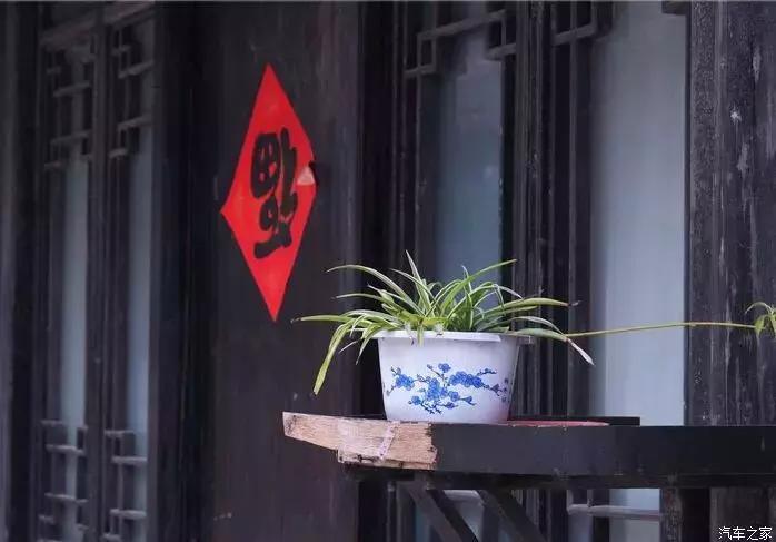 东南dx3自驾游,江浙寻花事