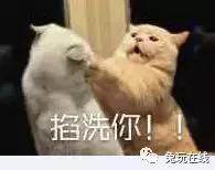 盘点主播直播被家暴,韩国女主播直播控诉男主播