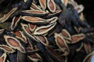 槟榔已被央视确认为一级致癌物,槟榔为何被称为一级致癌物