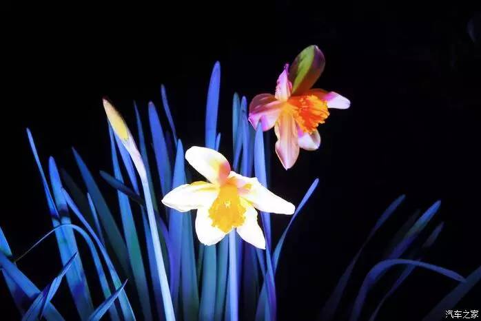 江浙寻花事,东南dx3自驾游