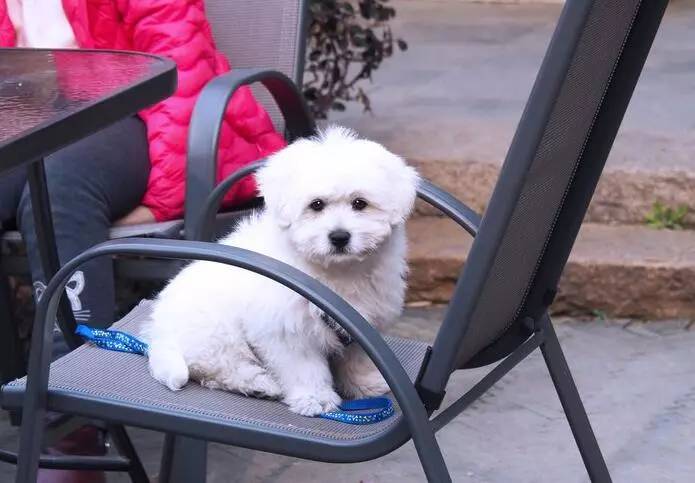 江浙寻花事,东南dx3自驾游