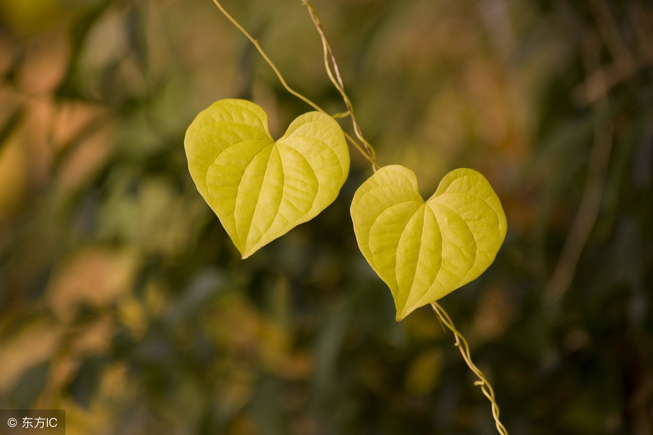 三观不合聊不到一起,三观不合真的很难聊下去
