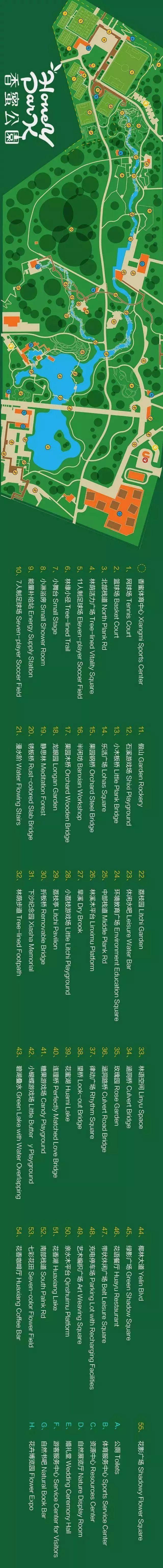 最真实的荔枝花海,广州荔枝花海