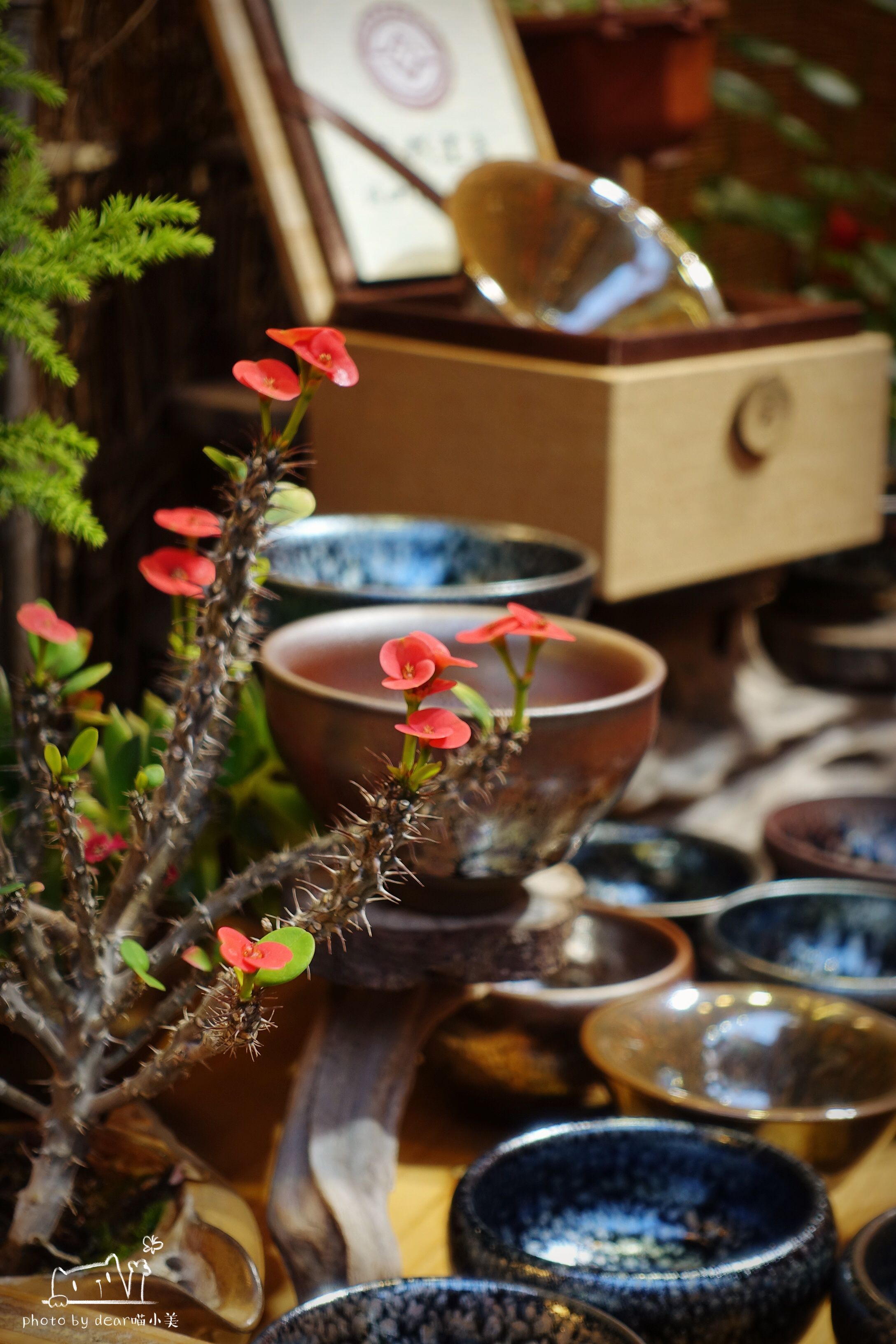 在曾厝垵第一家茶馆，我喝到了最好喝的豆浆茶