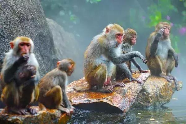 2020年海南乡村旅游文化节时间,第五届海南乡村旅游文化节