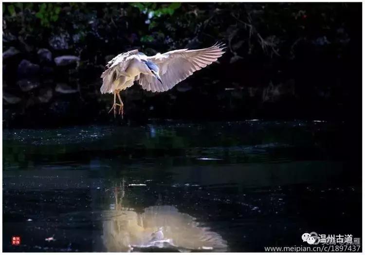 瑞安“千岛湖”，美丽水乡石垟湖