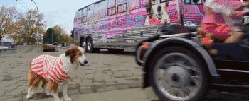 黄景瑜逆袭网剧,黄景瑜铁血硬汉