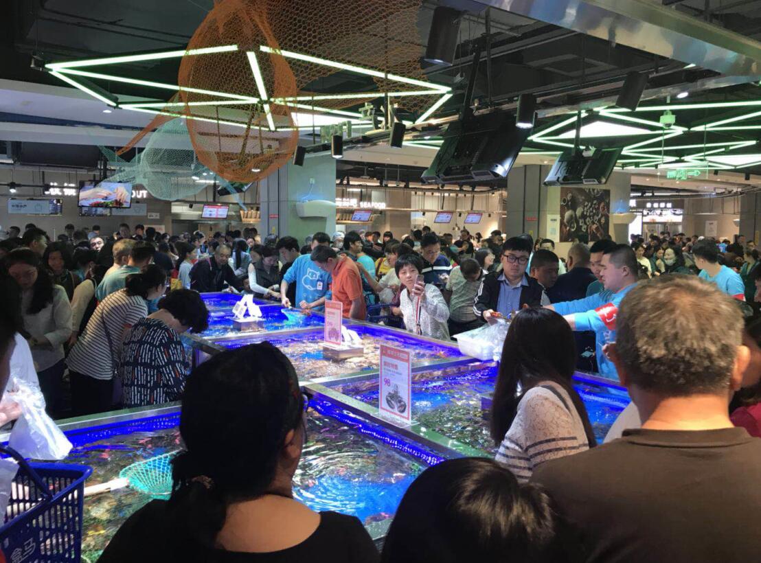 武汉盒马鲜生龙虾,杭州盒马鲜生波士顿大龙虾多少钱