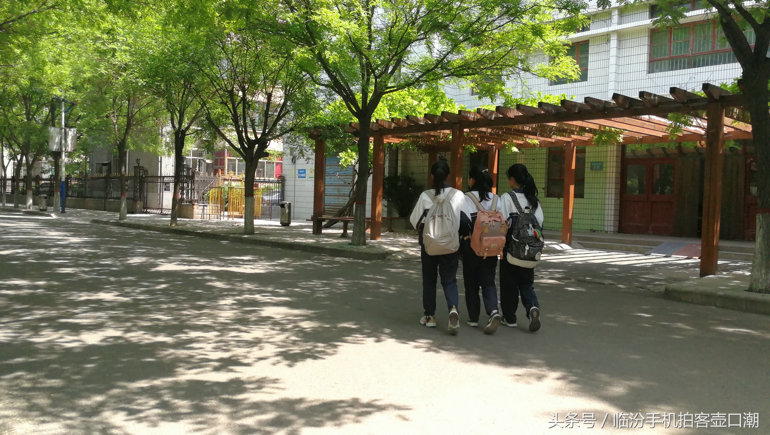 临汾三中校园风光,临汾三中校园