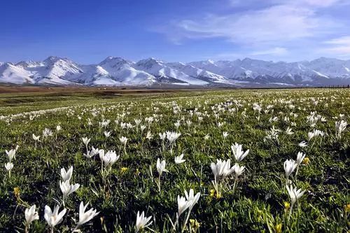 五一小长假北疆旅行,五一游玩的小短文50字