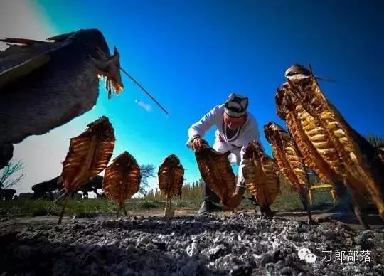 五一出游小短文,五一放假能在疆内游玩吗