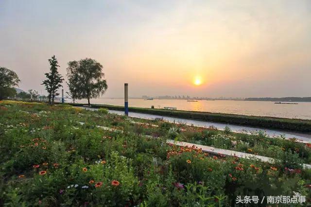 适合南京一日游的三十项免费景点,南京值得打卡的小众景点