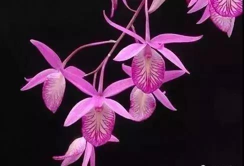 五一聚会的图片可保存,五一微信群图片