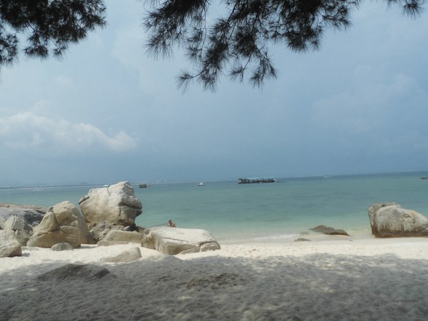 鍥涙湀骞胯タ椋庢櫙,鍥涙湀娴峰崡瀹炴媿