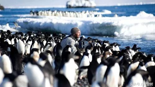 假期一定要给孩子看的20部纪录片,12部适合和孩子一起看的纪录片