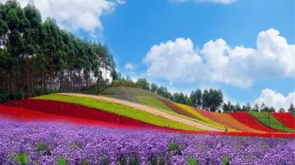 离厦门200公里的城市,离厦门十来分钟的小城