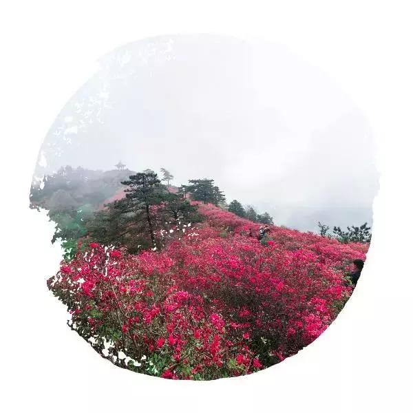 麻城龟峰山美景,麻城龟峰山风景区美照