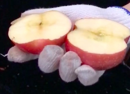 风筝线隐形杀手视频,风筝线暗藏杀伤力