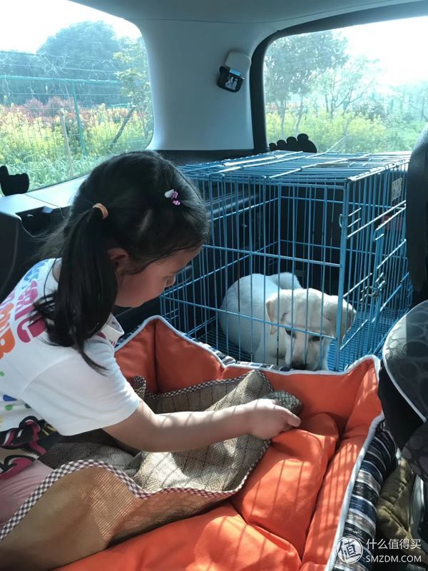 夏朗2017年5月舒享型7座版,19款夏朗尊享版