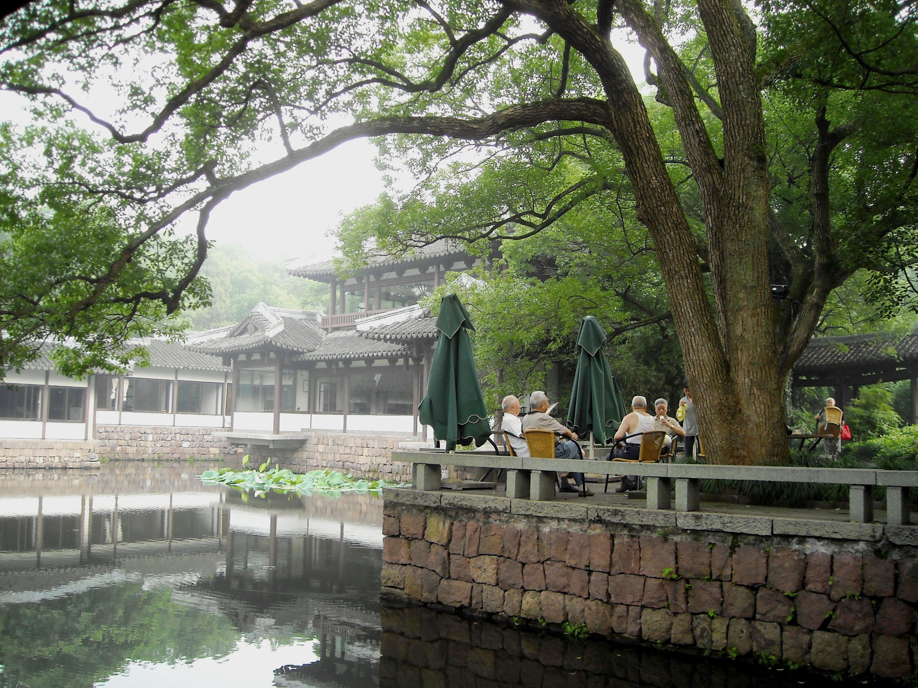 一个四川人的旅行,杭州西湖印象怎么样