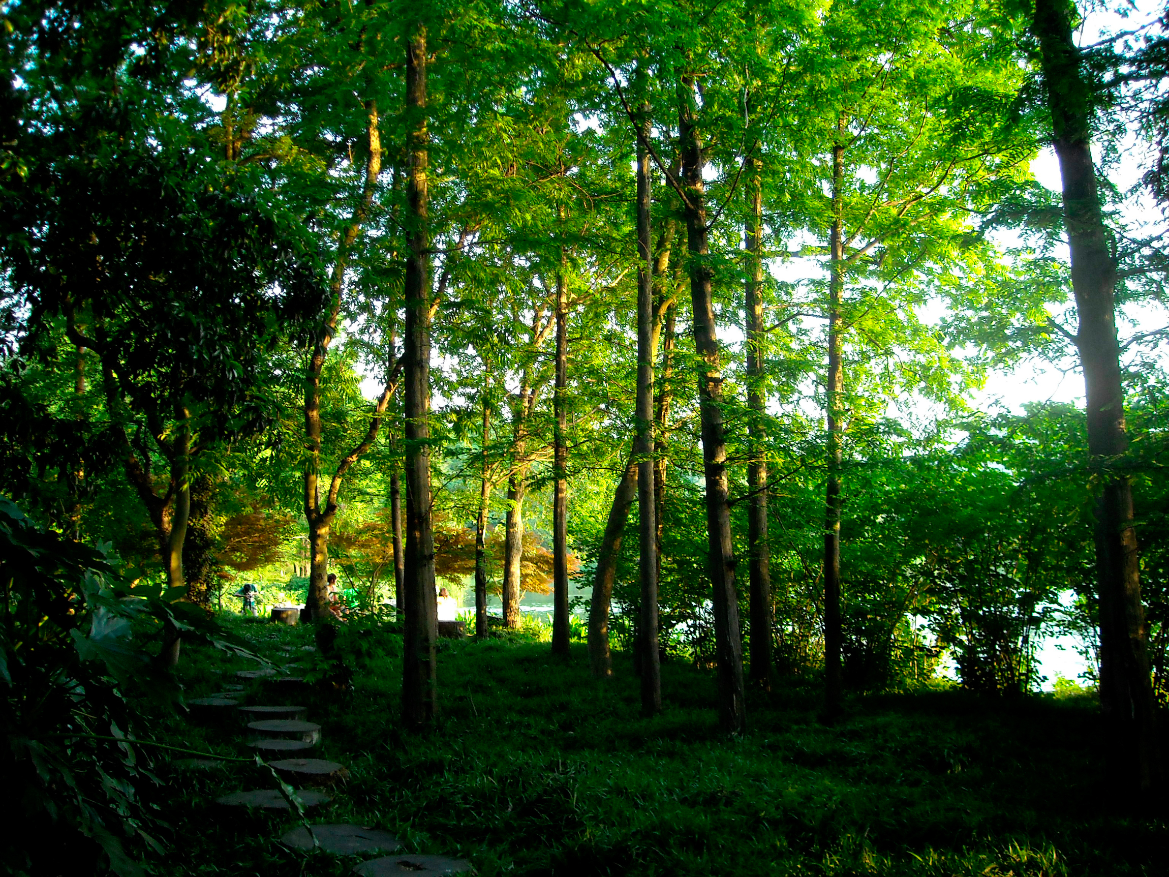 一个四川人的旅行,杭州西湖印象怎么样