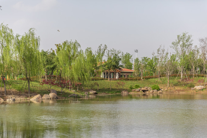 花博园滁州风景,滁州花博园公园美景