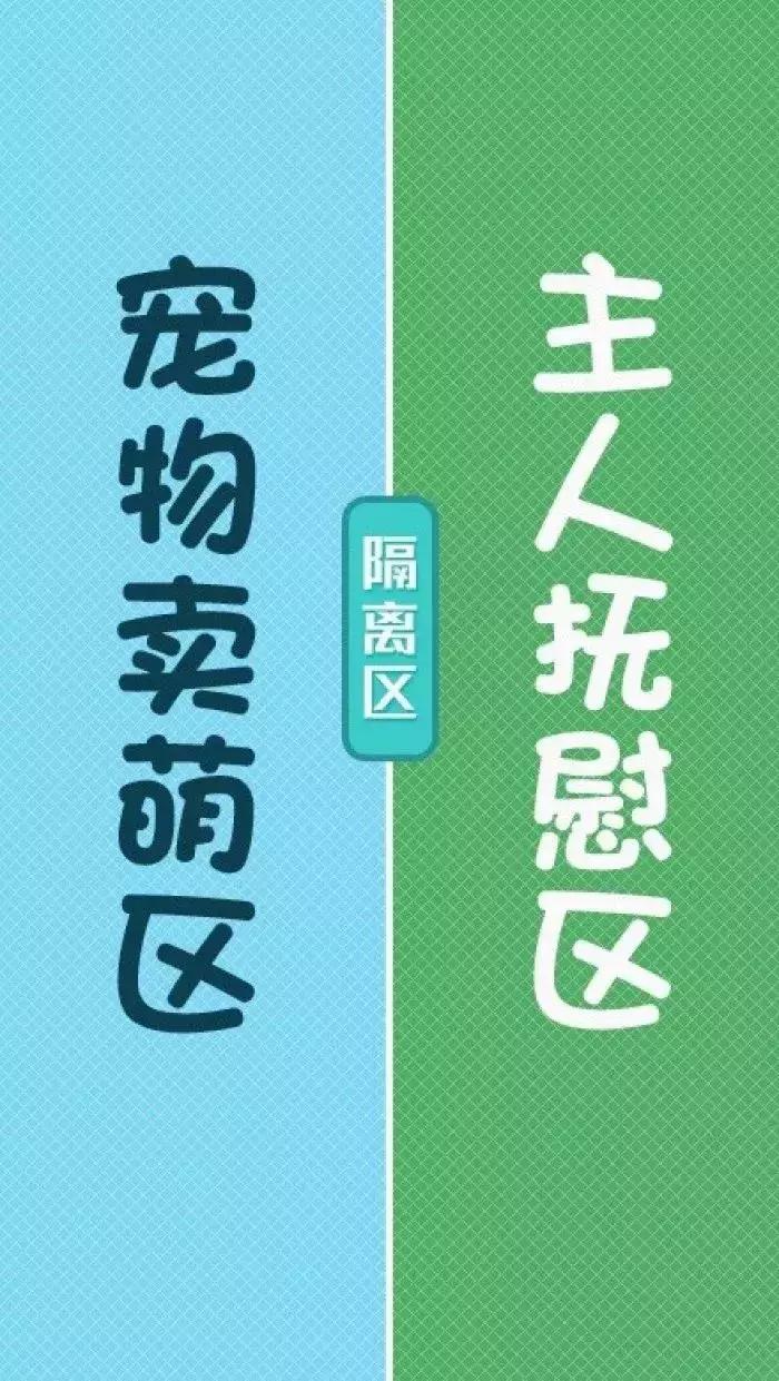小仙女专属壁纸高清全屏无水印,护眼清新聊天壁纸大全