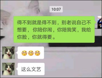 左青龙右白虎有句话怎么说的,左青龙右白虎社会语录