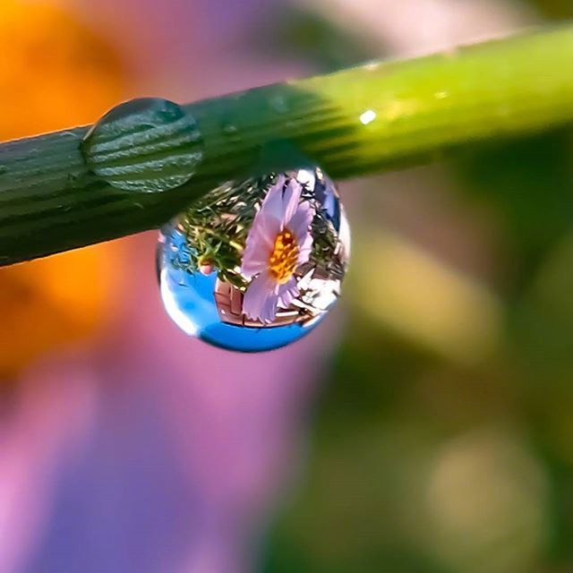 情感咨询｜栗子姐每日情感问答（0506）